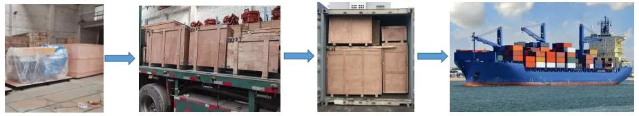 Shipping and Logistics