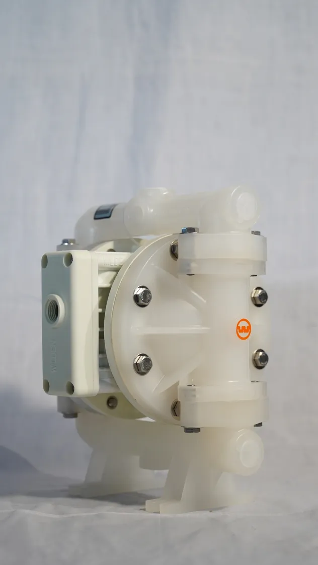 Heavy-Duty Pneumatic Membrane Pump View 2