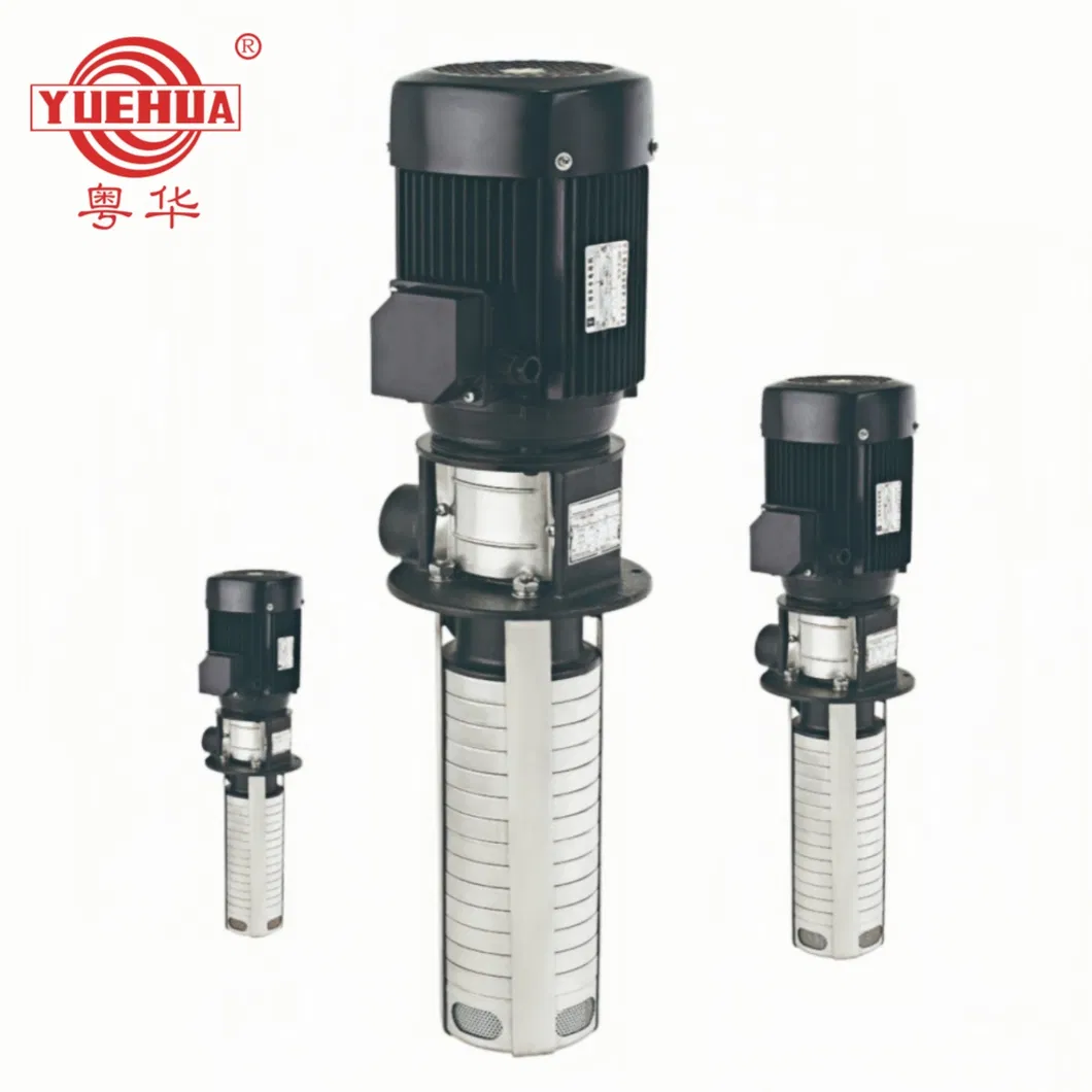 Stainless Steel Vertical Multistage Immersible Pump