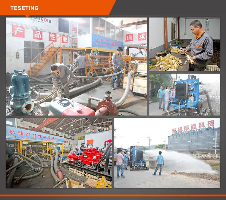 Rotary Vane Pump Details 1