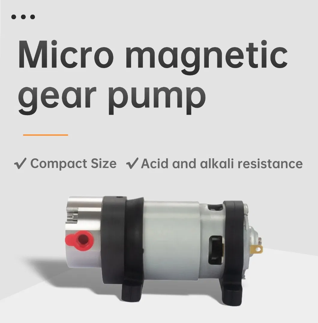 Micro Magnetic Gear Pump