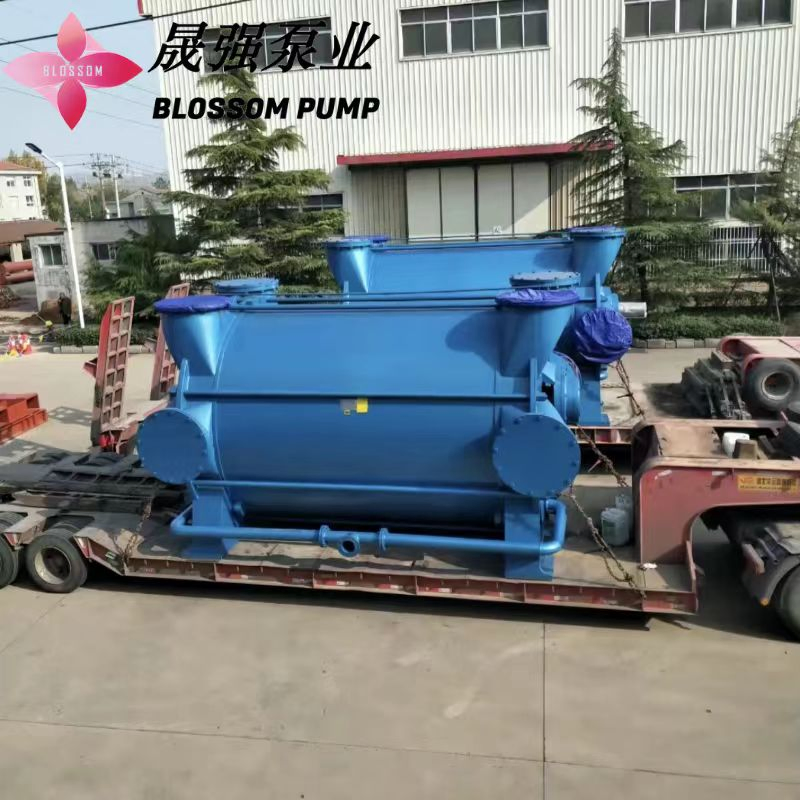 2be Series Water Ring Vacuum Pump Vacuum Degree High Power Consumption Low