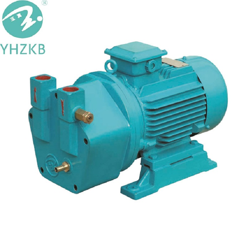 Sk-2 Liquid/Water Ring Vacuum Pump for Sterilization