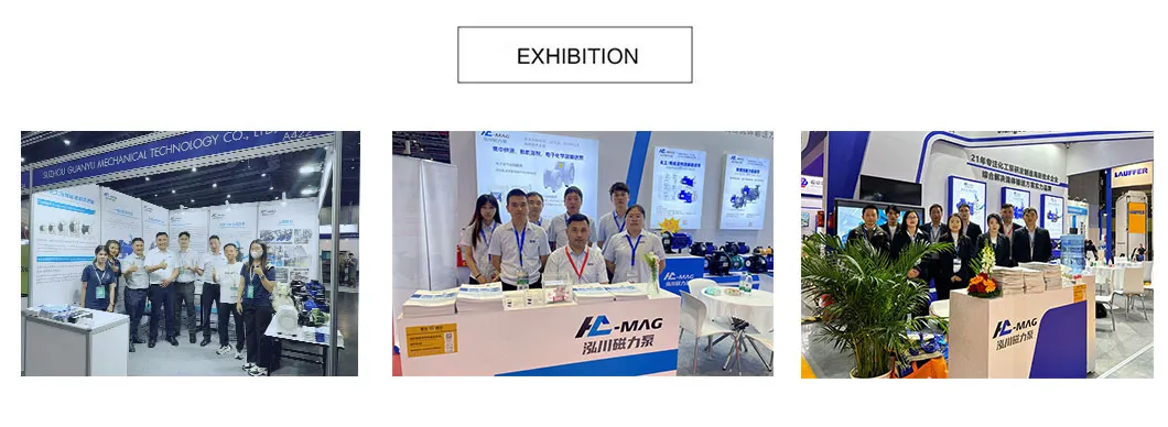 Pneumatic Diaphragm Pump 17