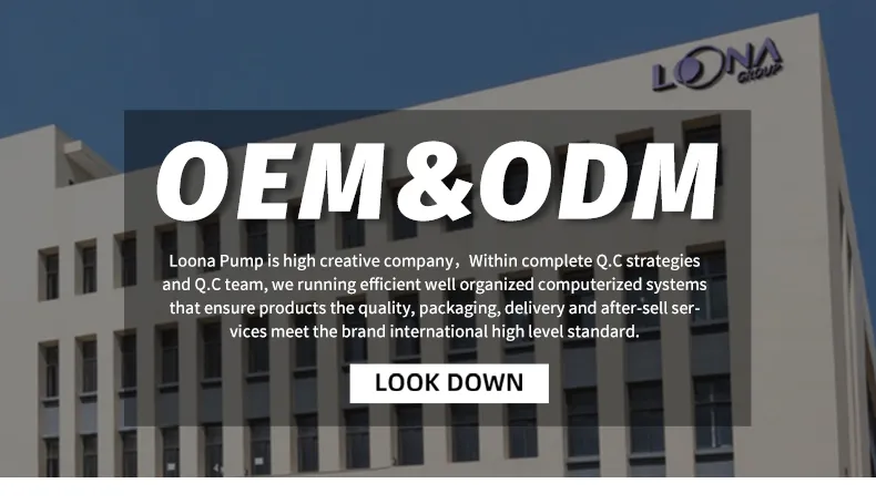 Submersible Pump View 1