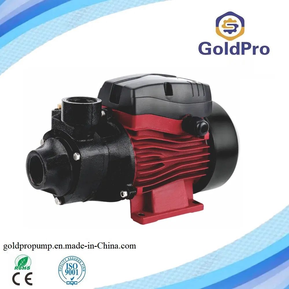Qb60 Idb45 Cast Iron Body Brass Impeller Self-Priming Centrifugal Peripheral Jet Water Pump