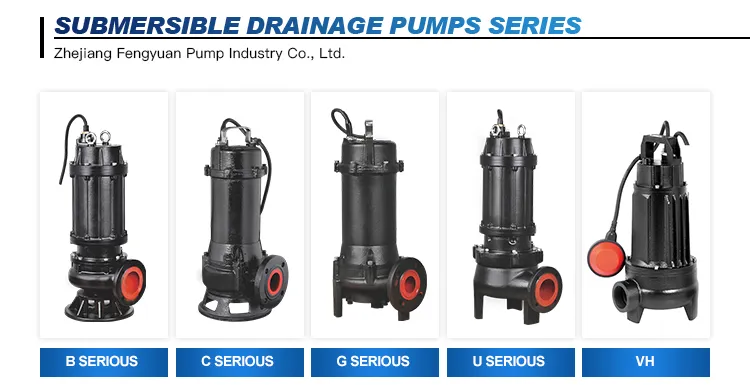 Other Drainage Pump