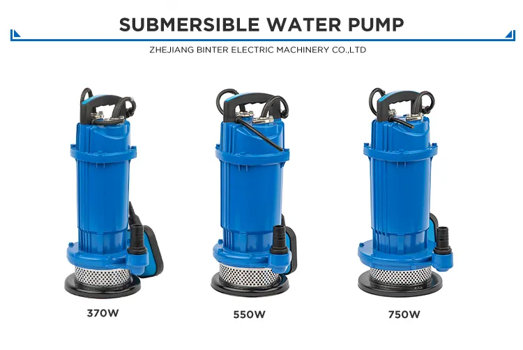 Electric Submersible Pump