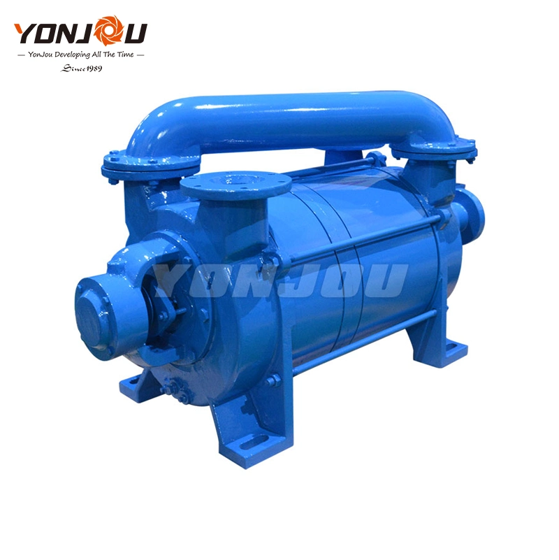 Sk 2sk 2BV China Electric Pumps Liquid Water Ring Vacuum Pump for Milking Machine or Plastic Extrusion Line with Siemens Motor