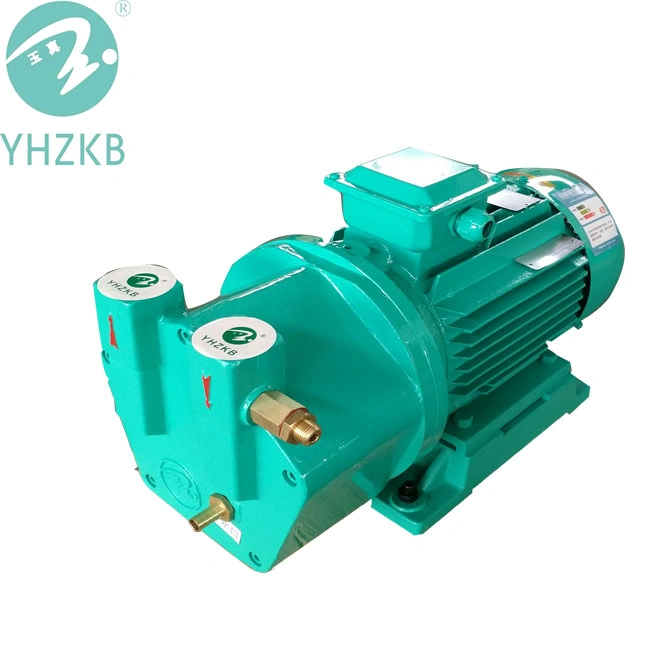 Sk-2 Liquid/Water Ring Vacuum Pump for Sterilization