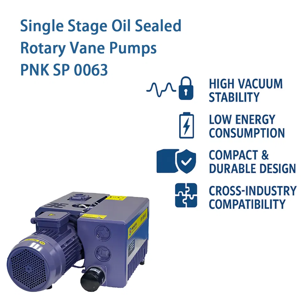 Cast Iron 63m³/H Low Noise Oil-Sealed Industrial-Grade Customized Single-Stage Rotary Vane Vacuum Pump