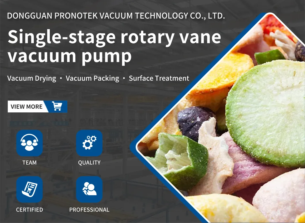 Single Stage Rotary Vane Vacuum Pump