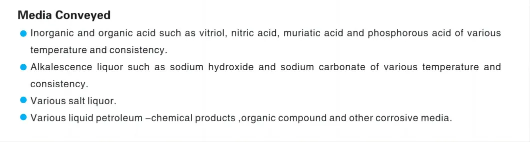 Process Pump Structural View