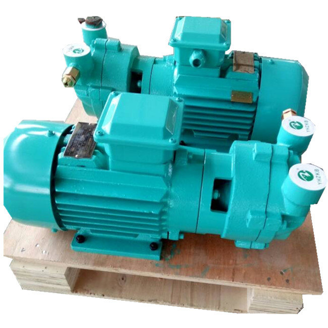 Yhzkb Sk-0.3A Liquid/Water Ring Vacuum Pump for Plastic Extrusion Line