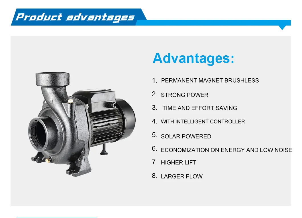 Solar Water Pump Detail 1