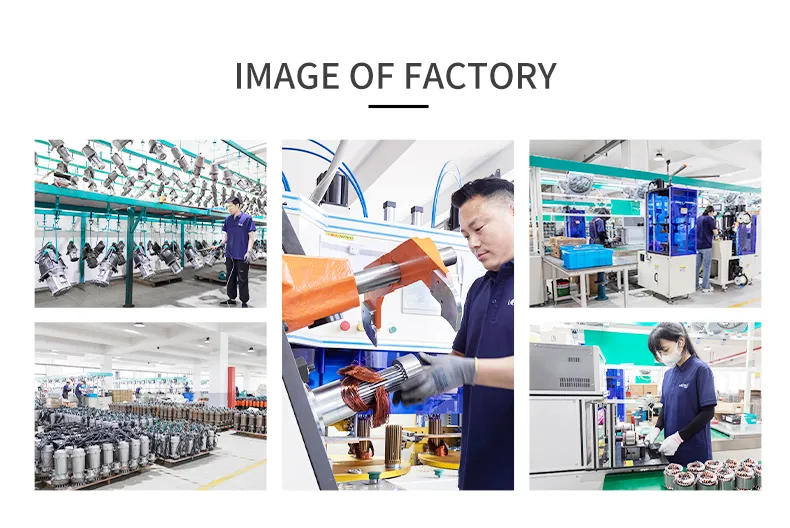 Submersible Pump View 3