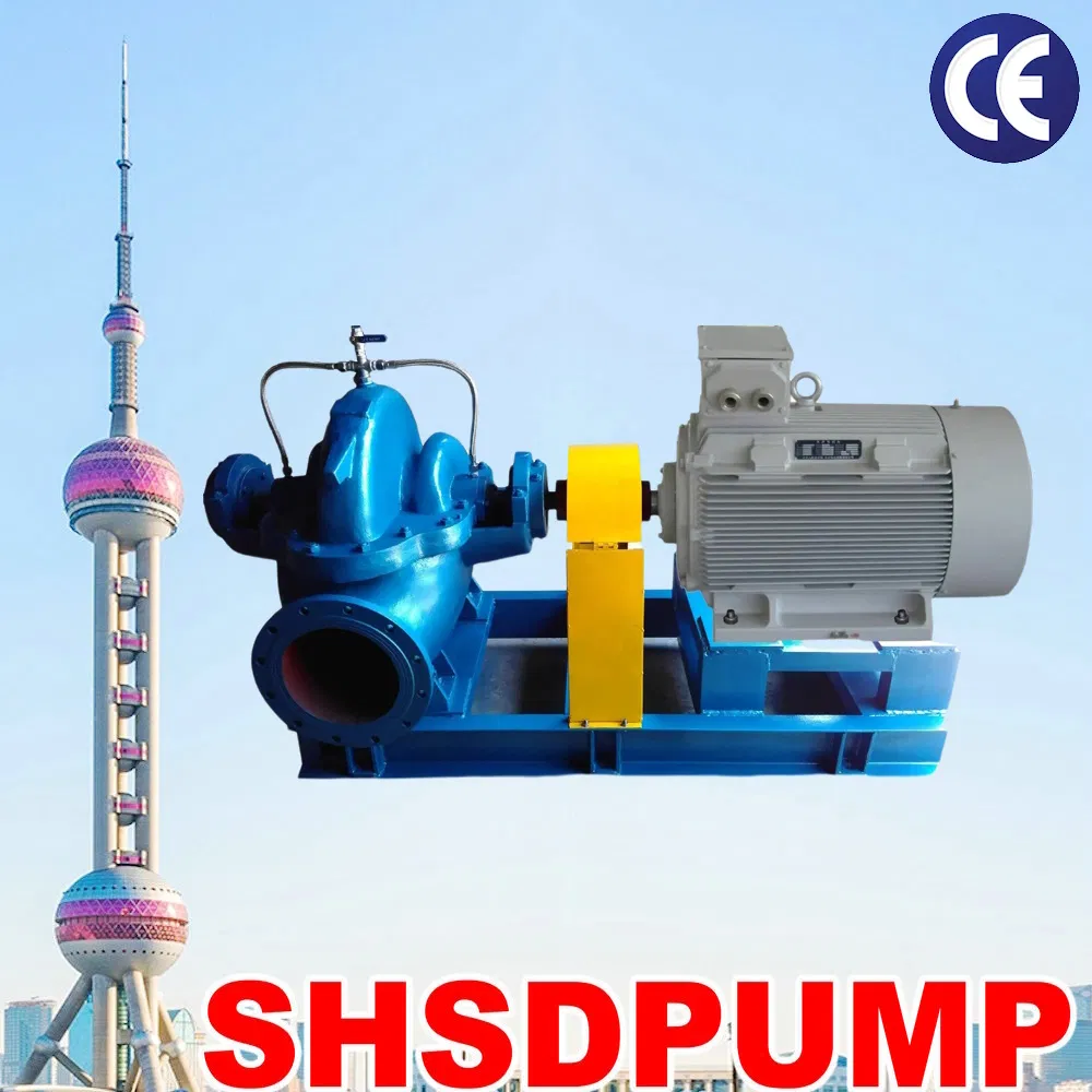 Shendu Slurry Chemical Self Priming Suction High Pressure Flow Chemical Centrifugal Horizontal Metering Double Suction Pump