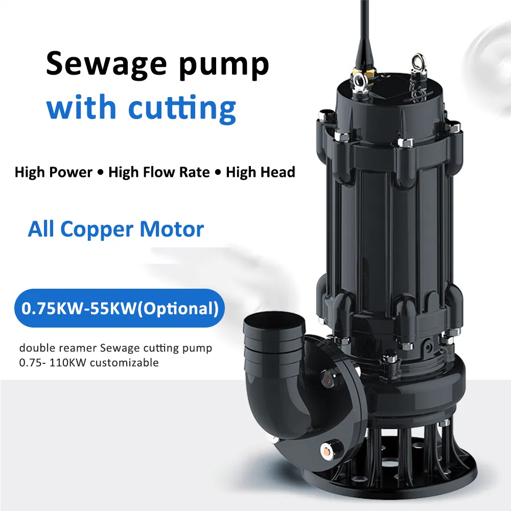 Sewage Pump Show 1