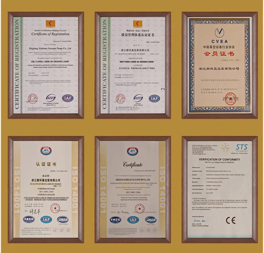 Water Ring Vacuum Pump Display 3