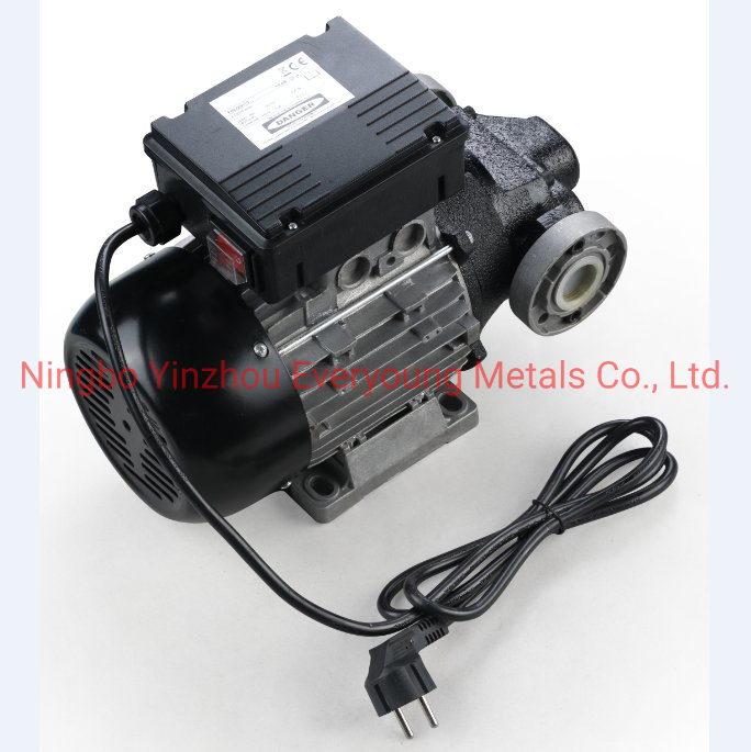 100 Lpm Fuel Transfer Pumping E120 AC 220V-240V Self Priming Vane Pumps Diesel Transfer Electric Pump with CE Portable Oil Transfer Pump