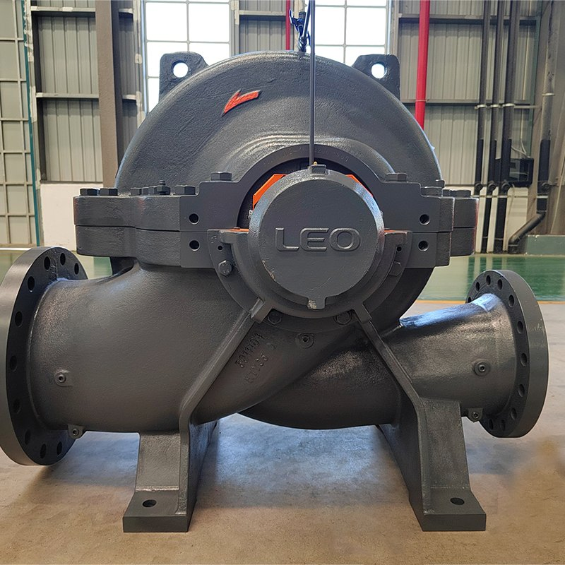 Leo Industrial Electric High Pressure Horizontal Single Stage Double Suction Centrifugal Water Pump for Farmland Irrigation