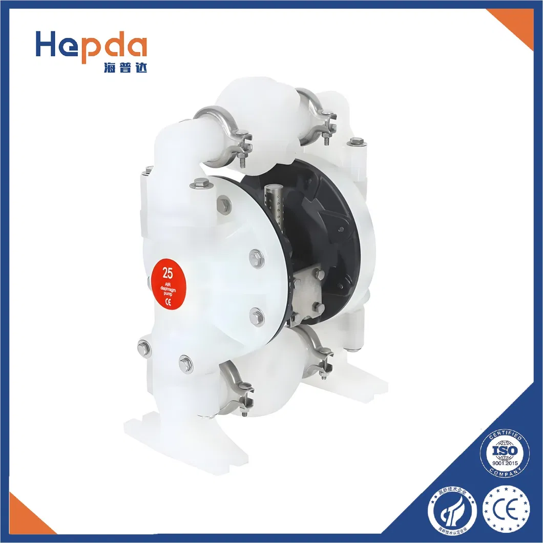 Pneumatic Diaphragm Pump View 4