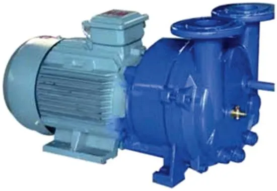2BV Water Ring Vacuum Pump View 2