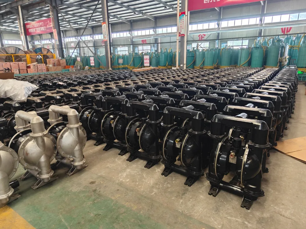 Diaphragm Pump Detail