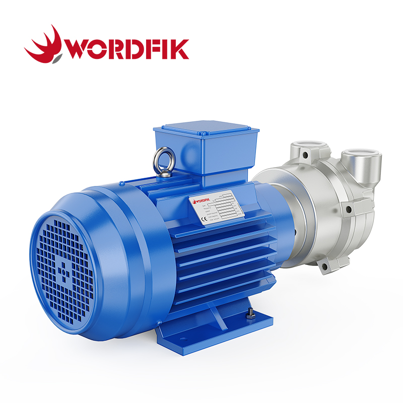 Wordfik Model 2BV2070 Ss Pump Head Single-Stage Water Ring Vacuum Pump for Vacuum Filtration Freeze Dryer Liquid Ring Pumps