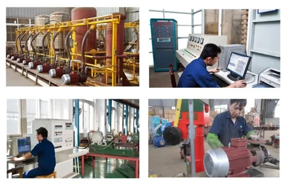 Water Ring Vacuum Pump Display 2