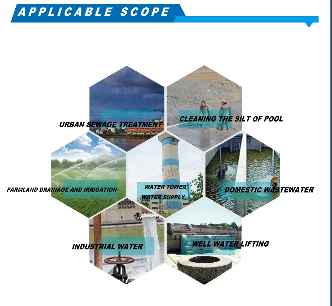 Submersible Chemical Pump 5