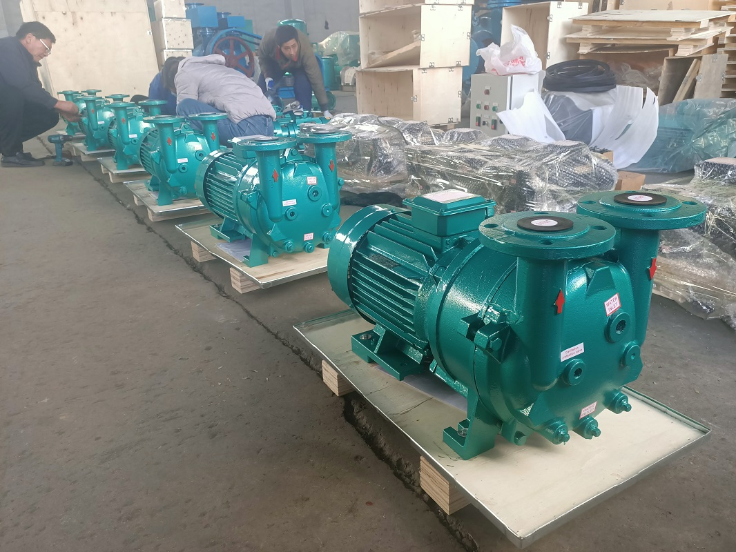 Water Ring Vacuum Pump/Liquid Ring Vacuum Pump