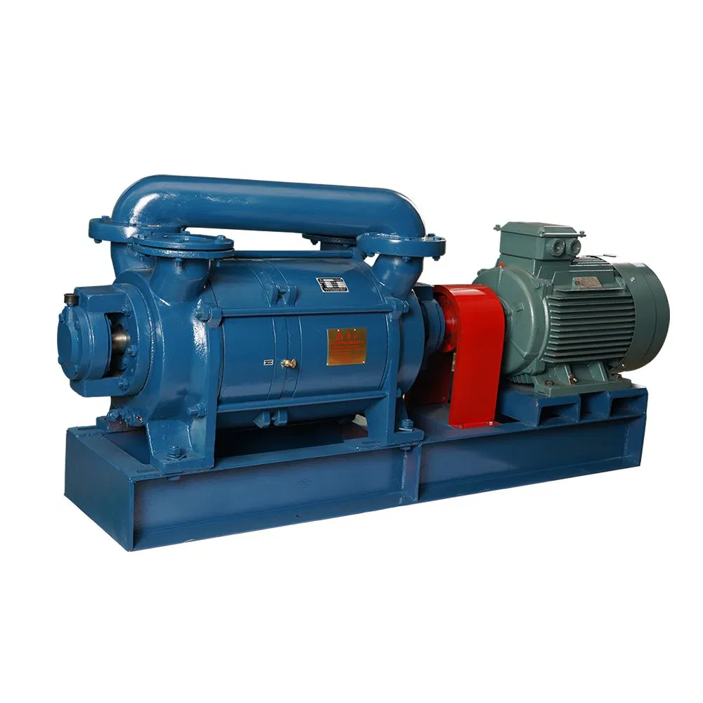 Custom 2sk Stainless Steel Oil Circulating Water Liquid Ring Vacuum Pump for Industrial Boilers