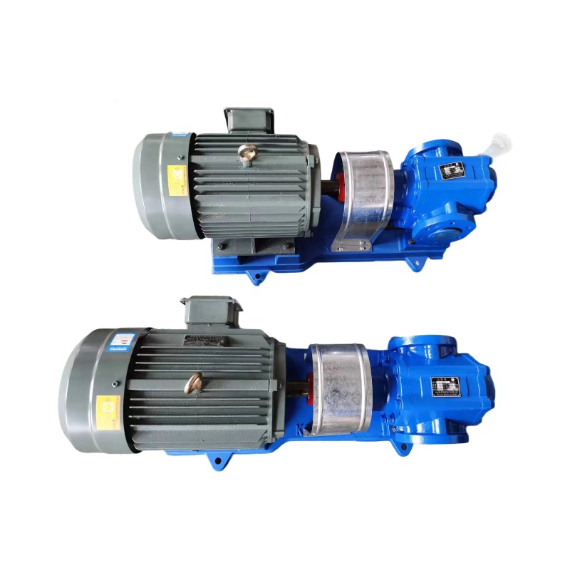 Heavy Oil Electric Cast Iron Gear Pump Waste Slag Oil Pump Fuel Booster Gear Pump