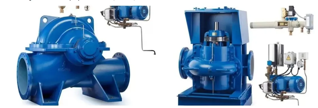 Double Suction Pump Overview