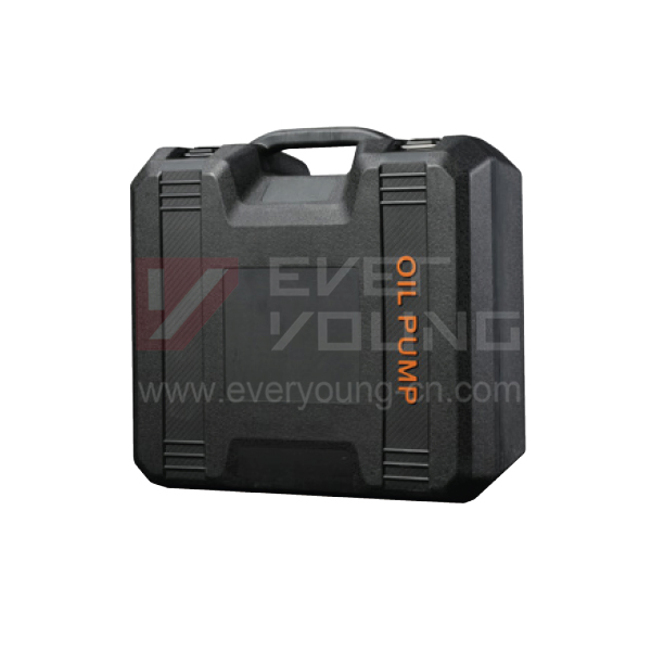 Portable Refueling 12V/24V Diesel Transfer Pump Set with PVC Box Hose Automatic Nozzle Electric Oil Pump Set