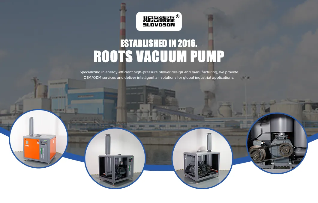 Vacuum Pump Technology