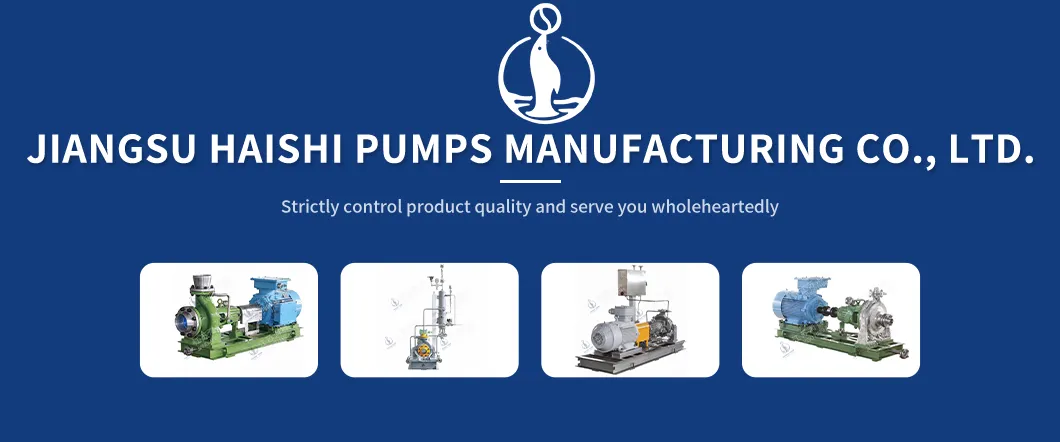 API610 BB3 Pump Overview