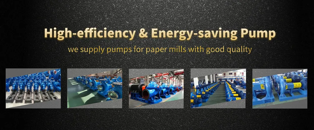 Stainless Steel Sewage Centrifugal Water Ring Vacuum Pulp Pump