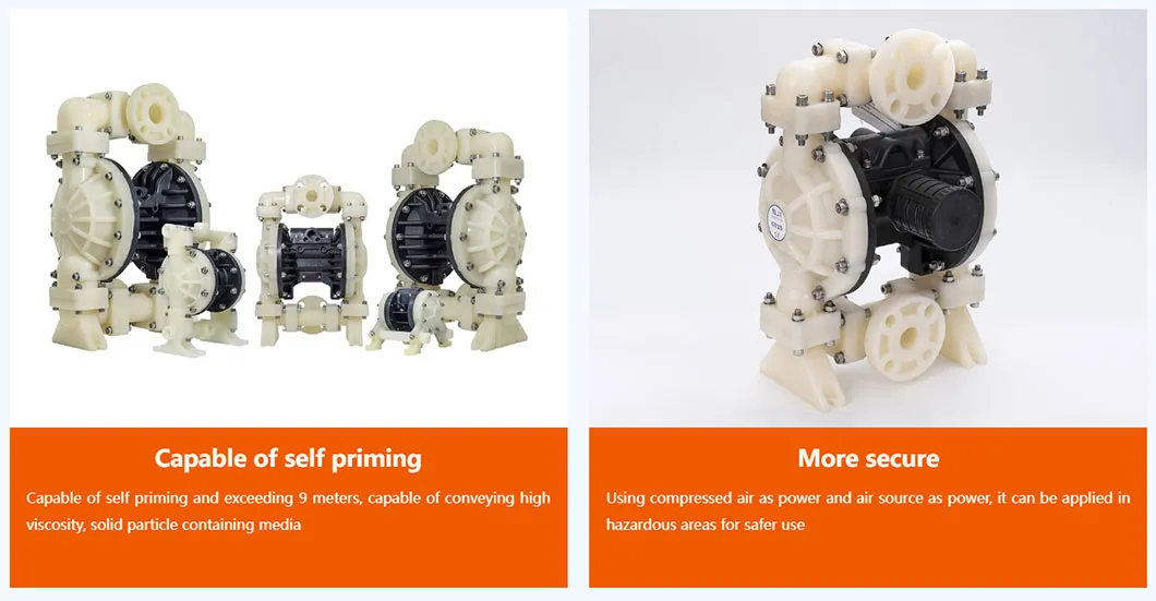 Pneumatic Diaphragm Pump 5