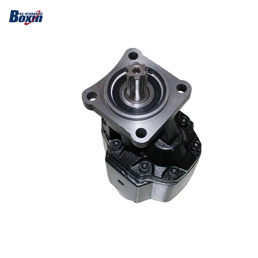 Custom Private Label Dump Truck Hydraulic Oil Gear Pump with 80cc