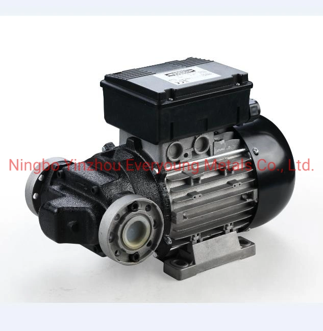 100 Lpm Fuel Transfer Pumping E120 AC 220V-240V Self Priming Vane Pumps Diesel Transfer Electric Pump with CE Portable Oil Transfer Pump
