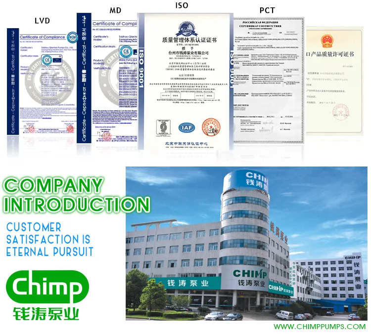 Submersible Pump Profile