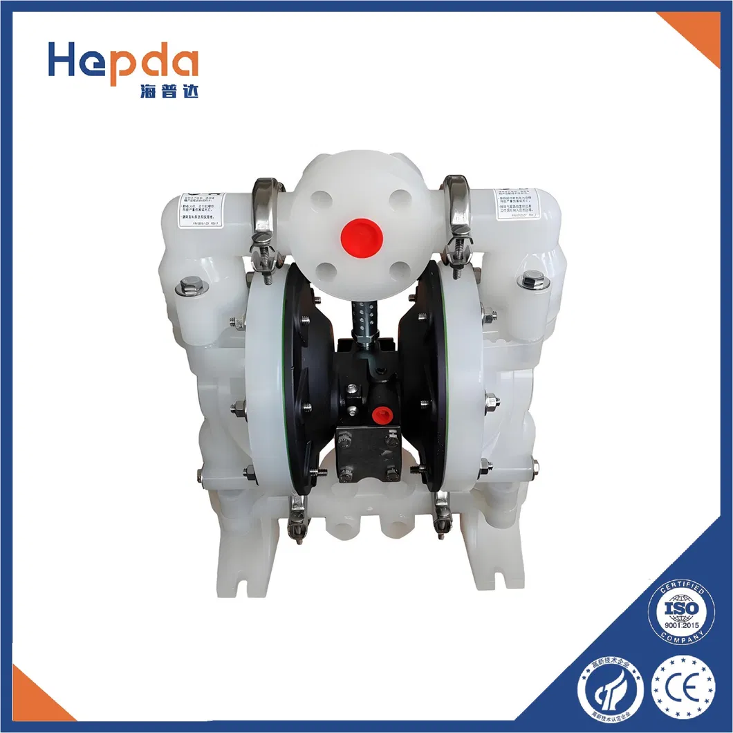 Pneumatic Diaphragm Pump View 1
