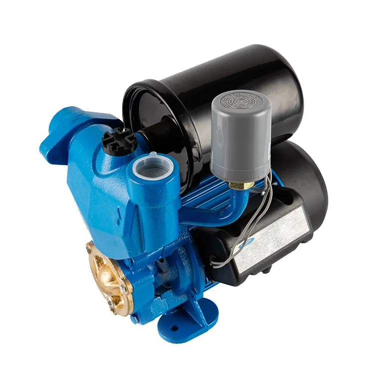 WZB250 Water Pump