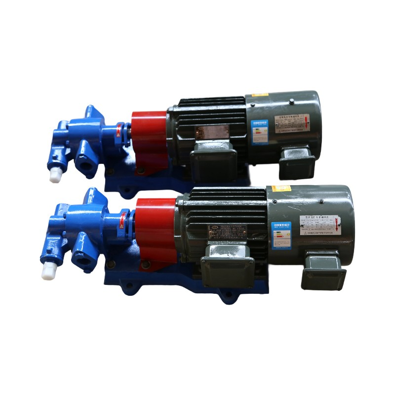 Heavy Oil Electric Cast Iron Gear Pump Waste Slag Oil Pump Fuel Booster Gear Pump