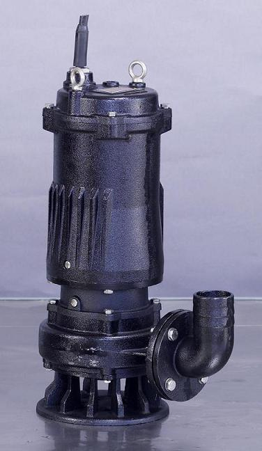 Corrosion Resistant 2be3 Sewage Vacuum Pumps, Industrial Gases Suction Pump