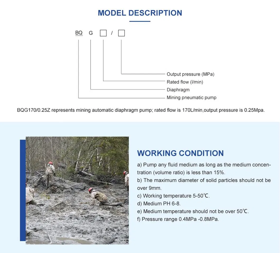 Specifications Diagram