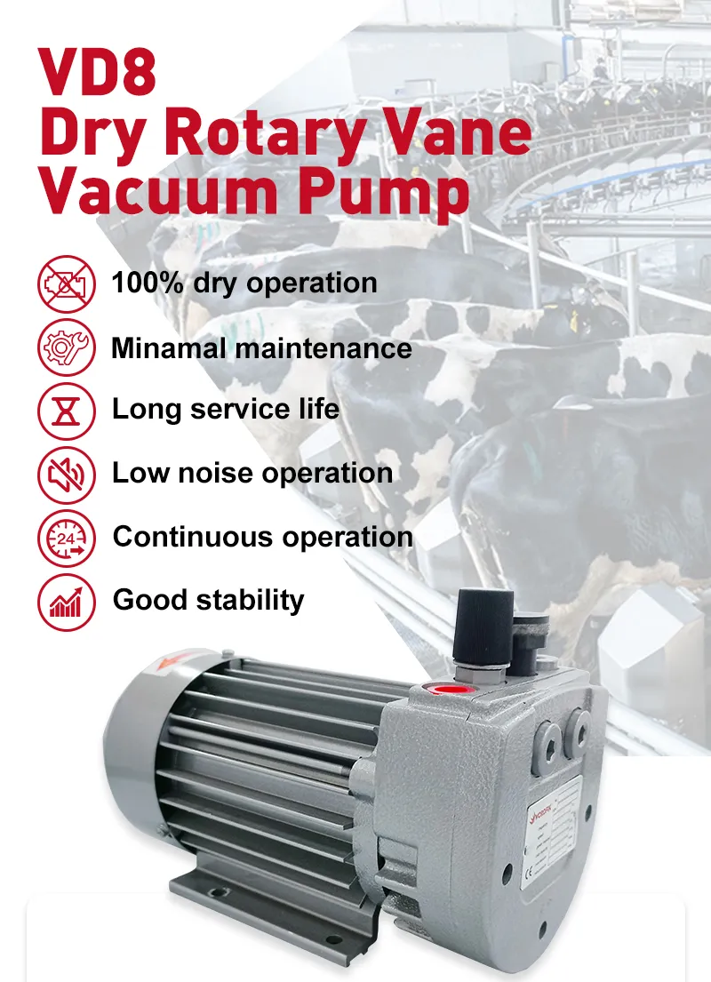Dry Rotary Vane Vacuum Pump