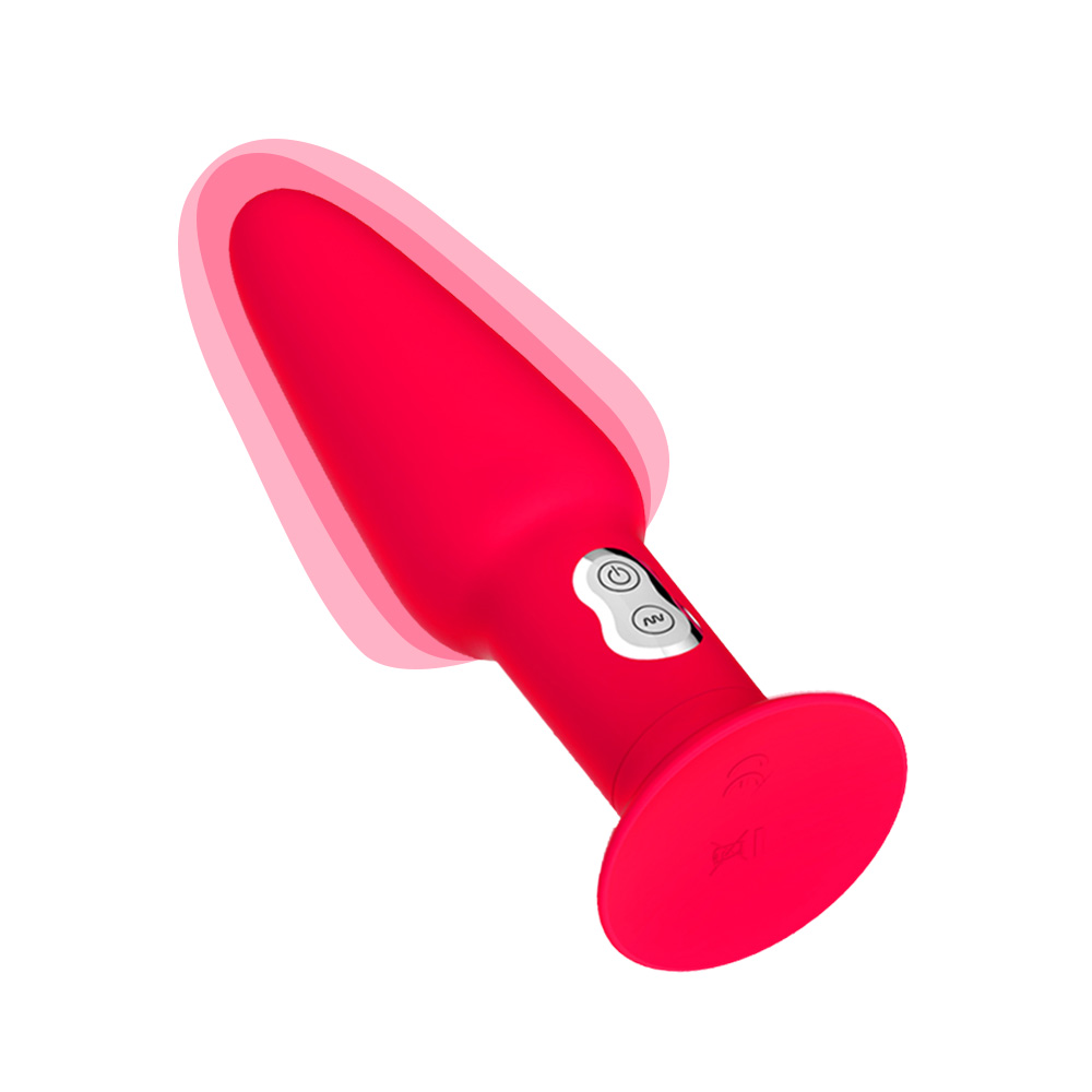 Inflatable Butt Plug View 2
